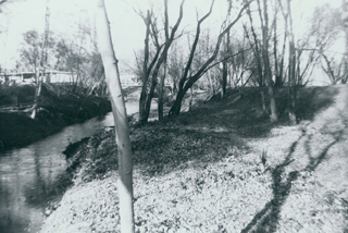 Roseville Dry Creek adjacent to the old Enwood gravel pit